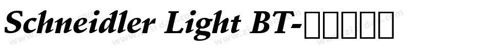 Schneidler Light BT字体转换